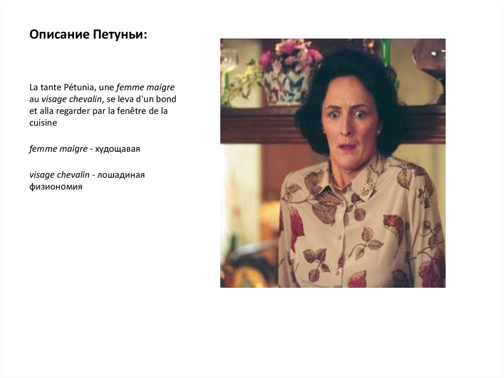 Описание Петуньи: