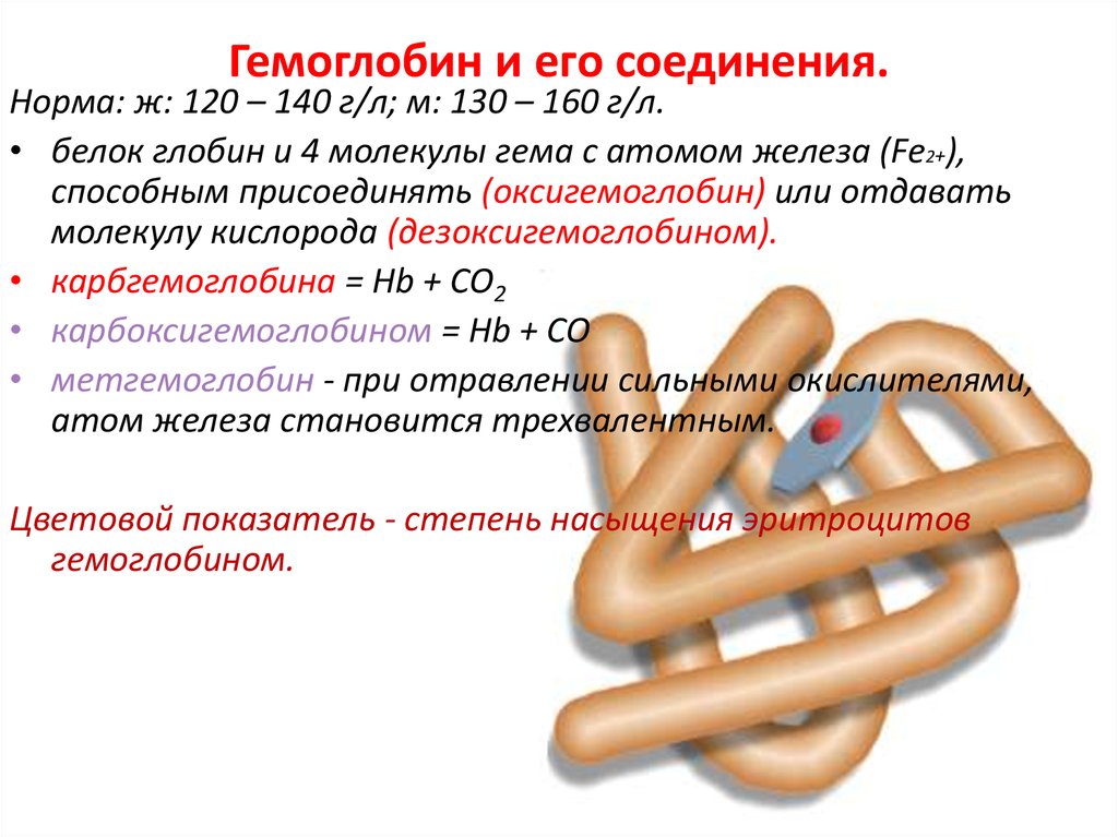 Гемоглобин презентация по химии