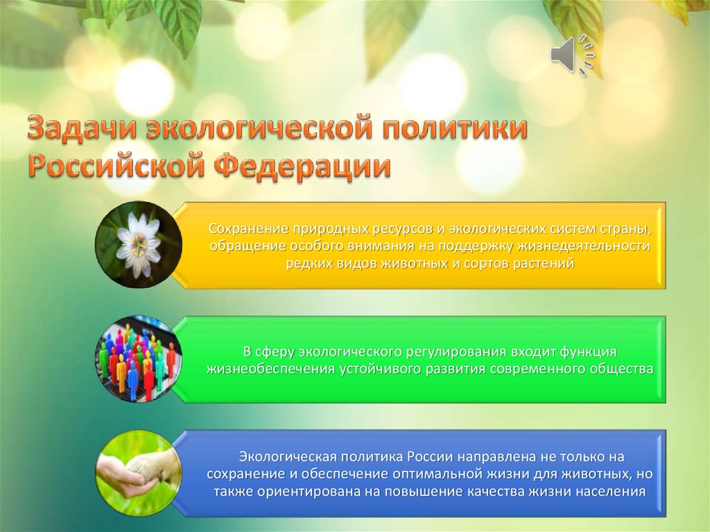 Задачи экологической политики Российской Федерации