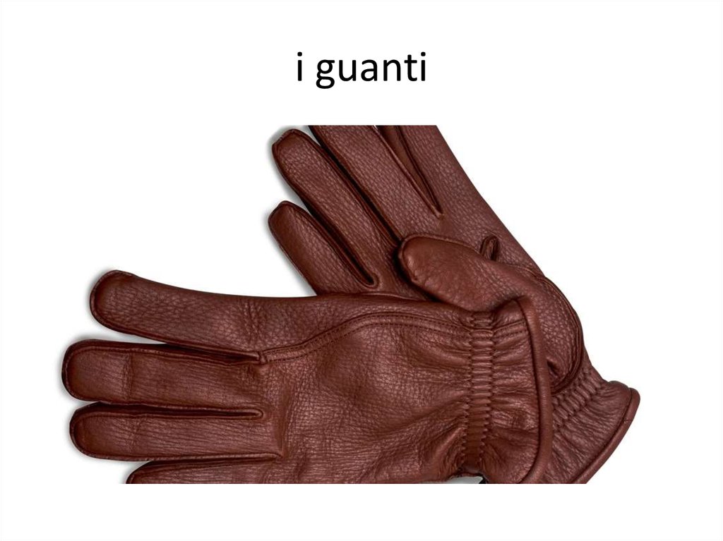 i guanti