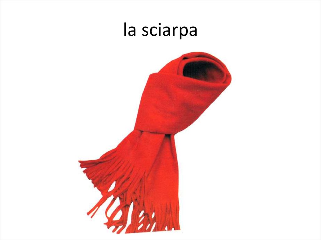 la sciarpa