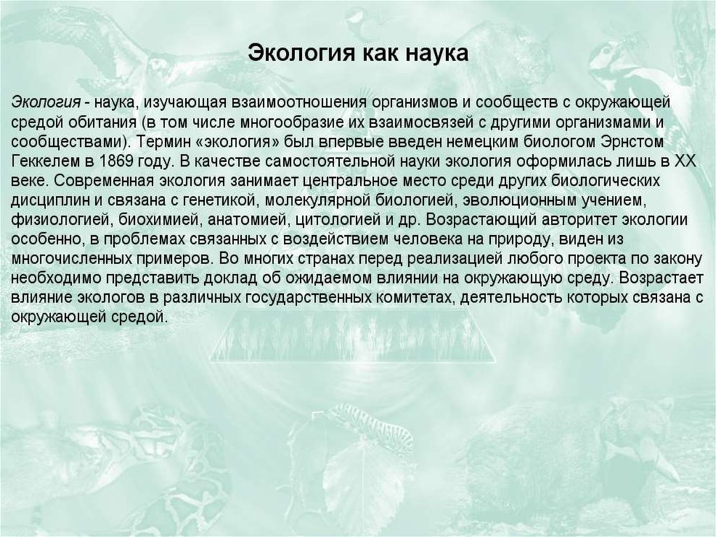 Представить доклад. Экологическая физиология как наука.. Какое место занимает экология среди других наук. Какое место в экологии занимает человек. Как экология связана с генетикой.