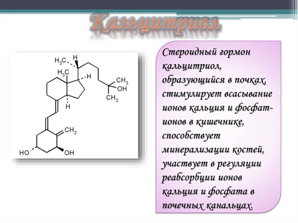 Клиническая биохимия почек презентация