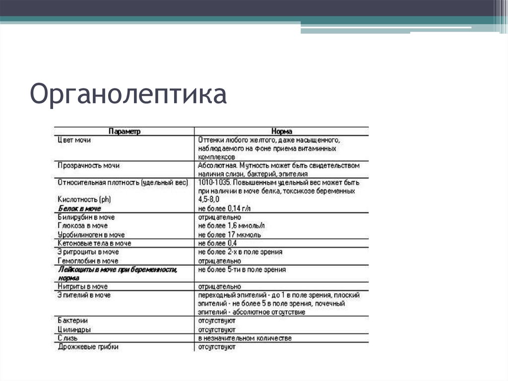 Клиническая биохимия почек презентация