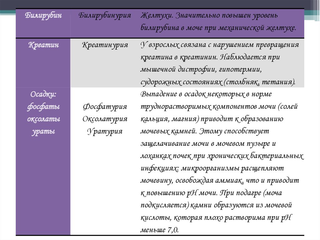 Клиническая биохимия почек презентация