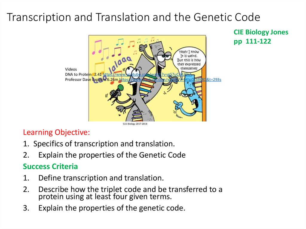 Transcription and Translation and the Genetic Code