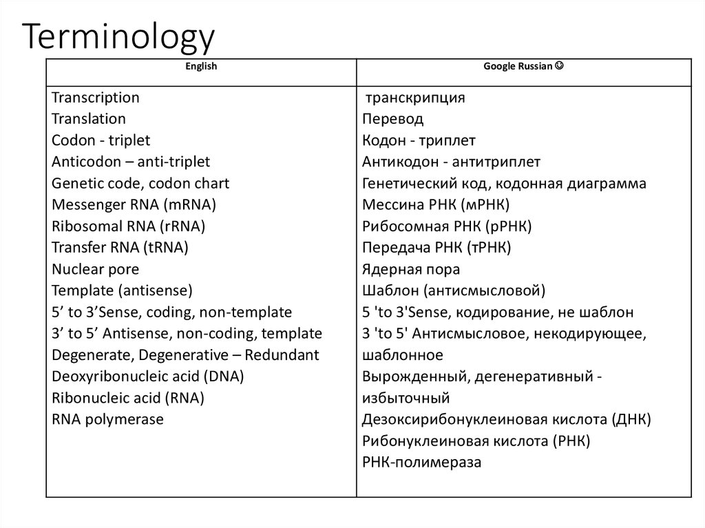 Dna To Rna Codon Chart