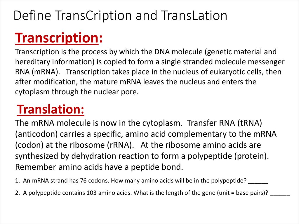 define translation vs transliteration