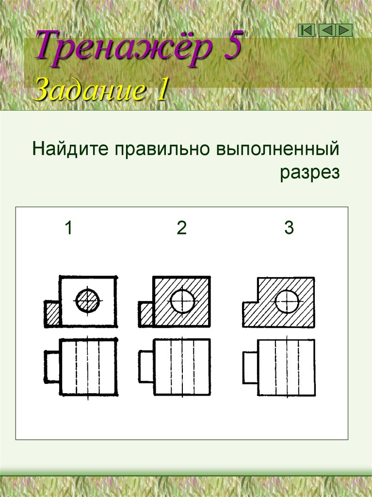 Тренажёр 5 Задание 1