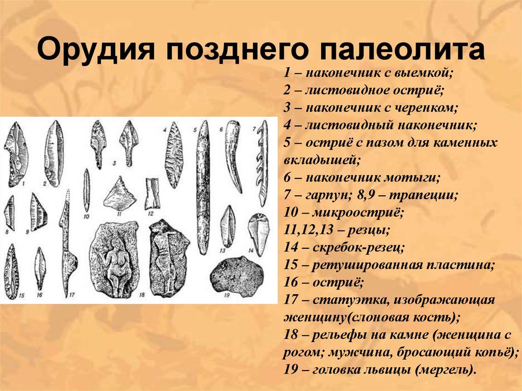 Схема эволюции орудий труда речи и общественных отношений человека