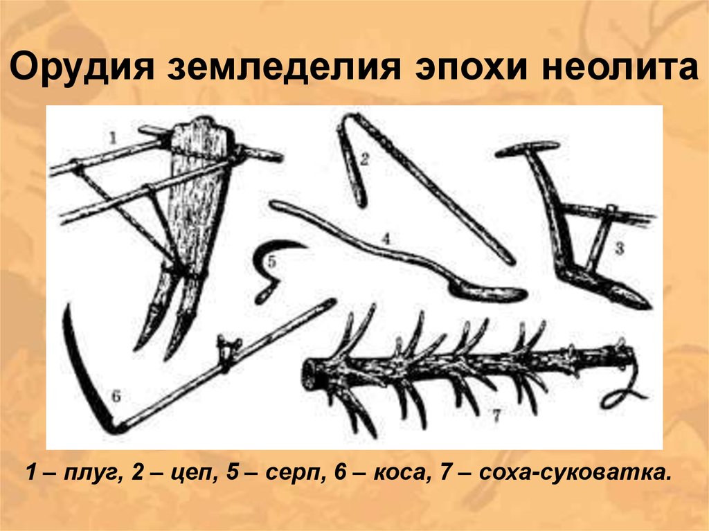 Рало это. Орудия труда древних славян Соха. Орудия труда которыми пользовались восточные славяне. Соха Рало борона. Орудия земледелия неолита.