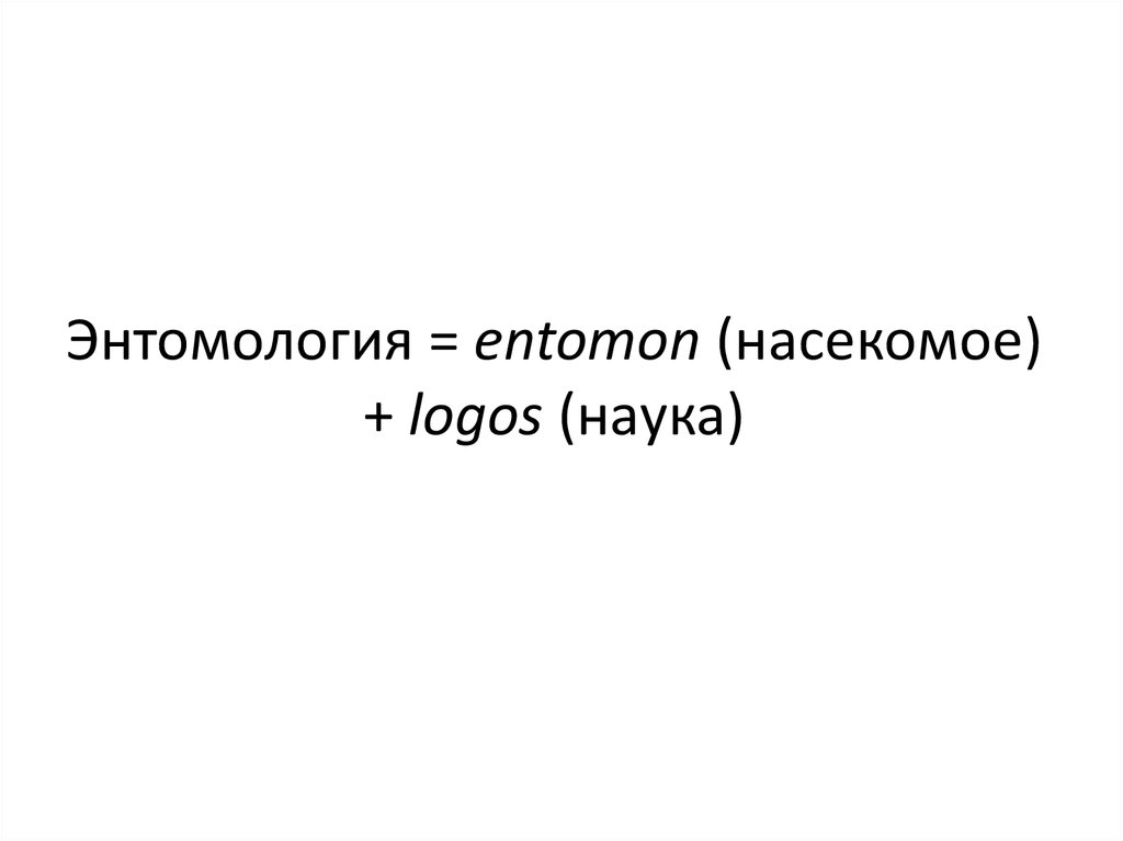 Энтомология = entomon (насекомое) + logos (наука)
