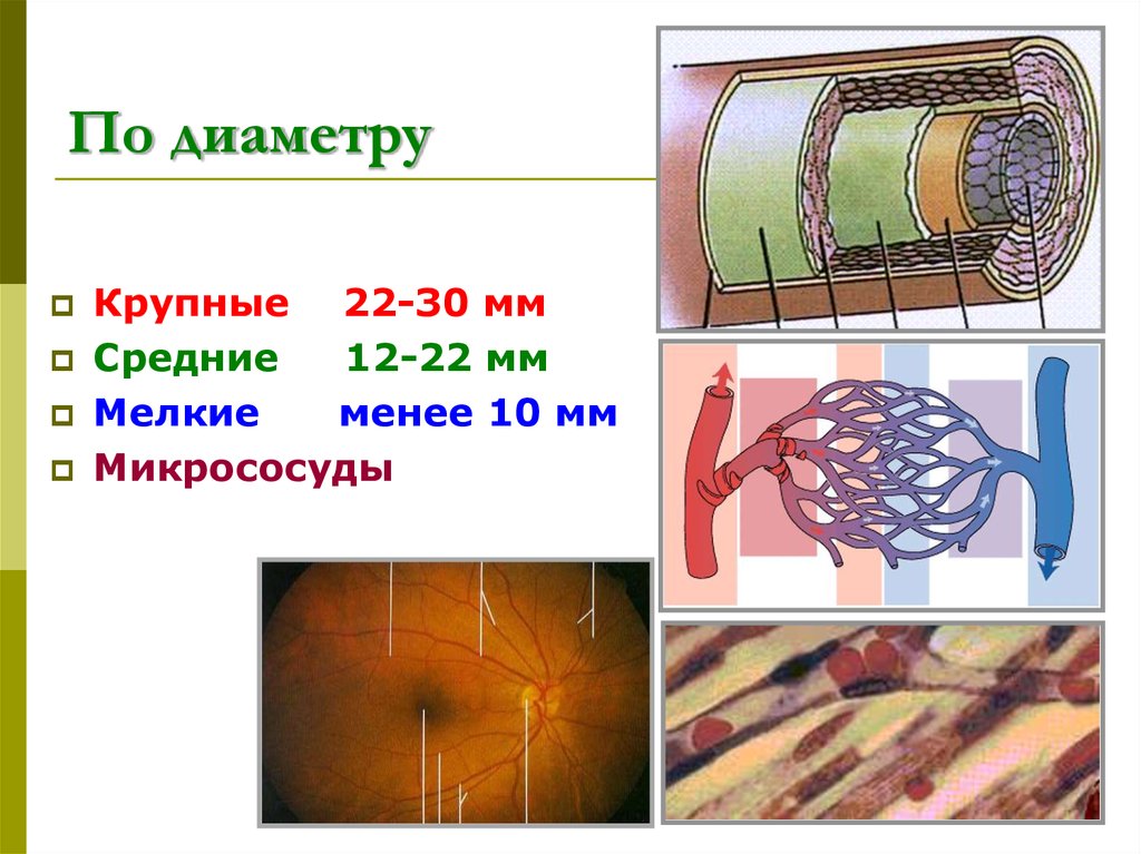 По диаметру