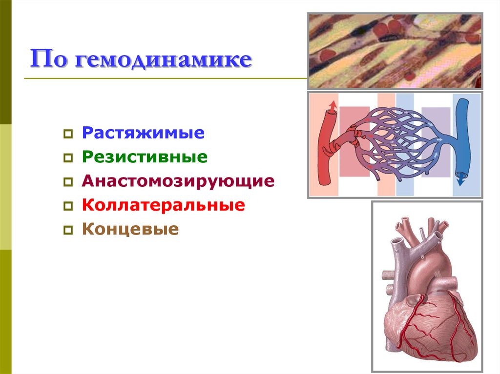 По гемодинамике