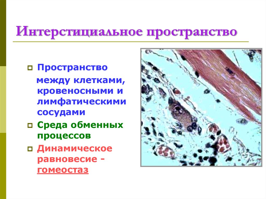 Интерстициальное пространство