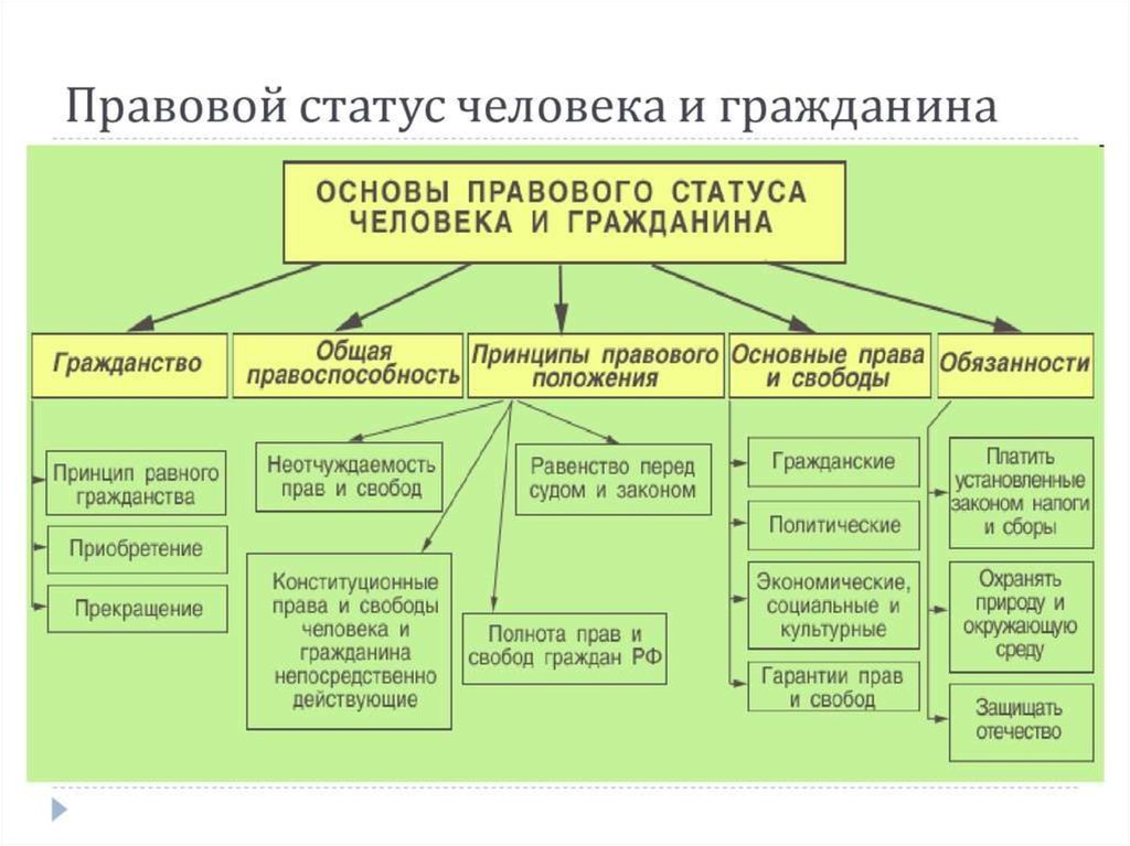 Основы правового статуса личности в российской федерации презентация