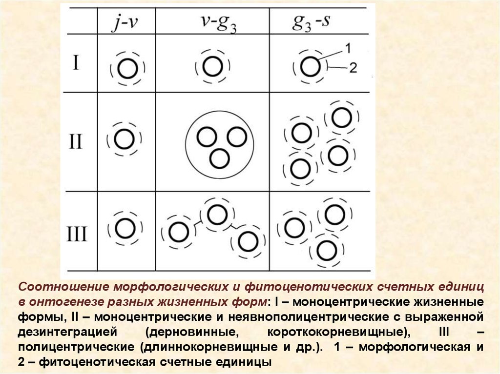 Моноцентрический рисунок размещения хозяйства