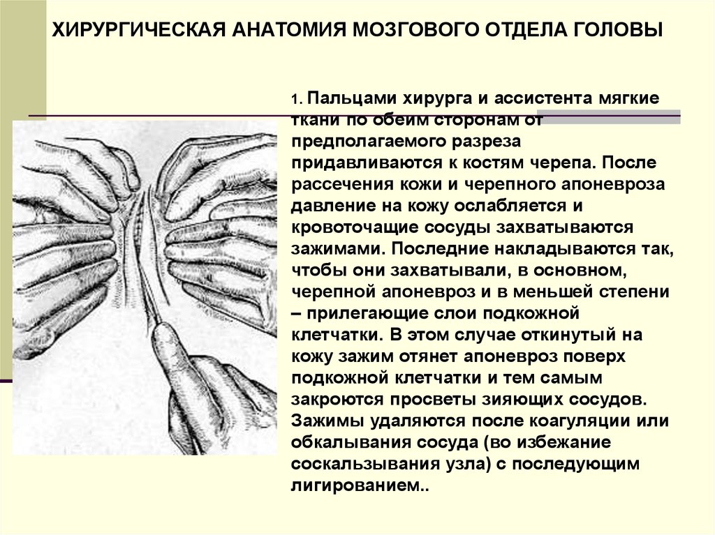 Презентация топографическая анатомия мозгового отдела головы