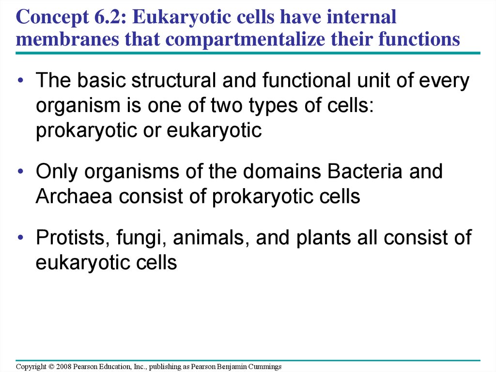 Concept 6.2: Eukaryotic cells have internal membranes that compartmentalize their functions