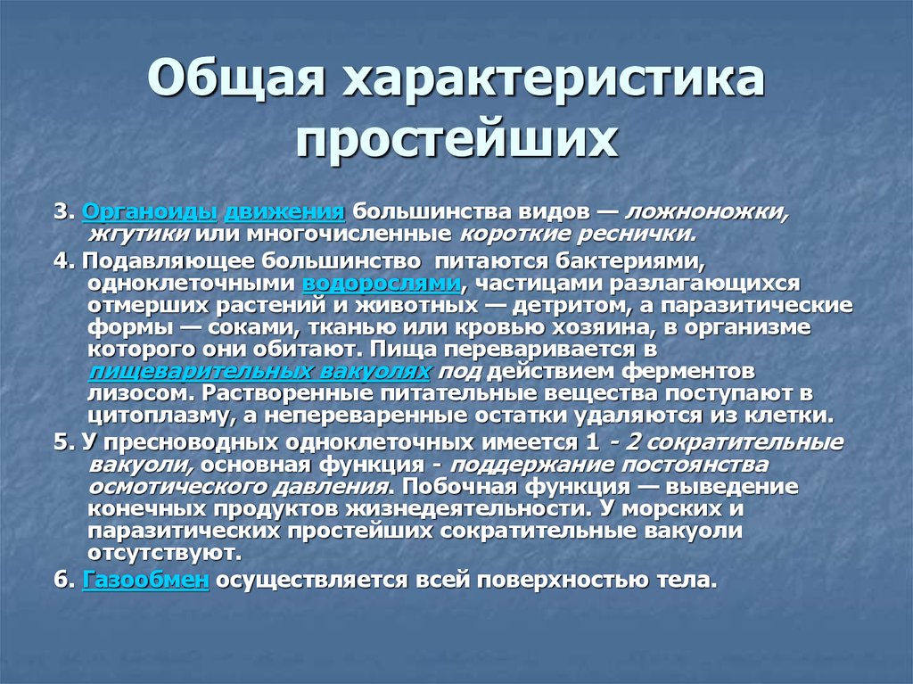 Свойства простейших. Общая характеристика простейших. Общая характеристика паразитических простейших. Общая характеристика простейших паразитов. Тип простейшие общая характеристика.