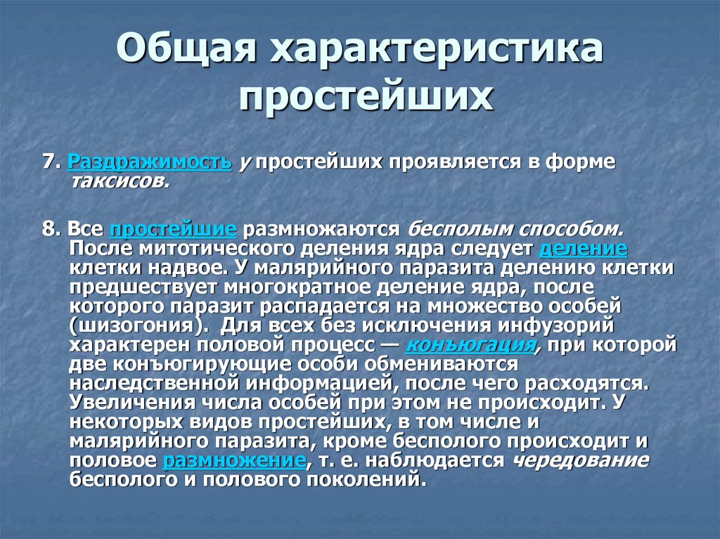 Особенности простейших