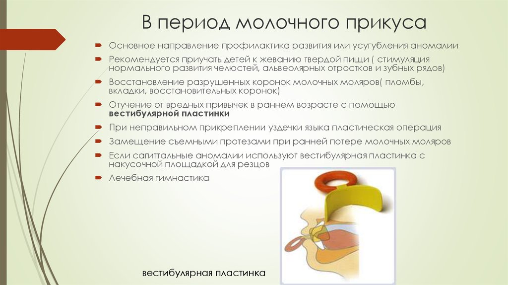 Связь прикуса и осанки