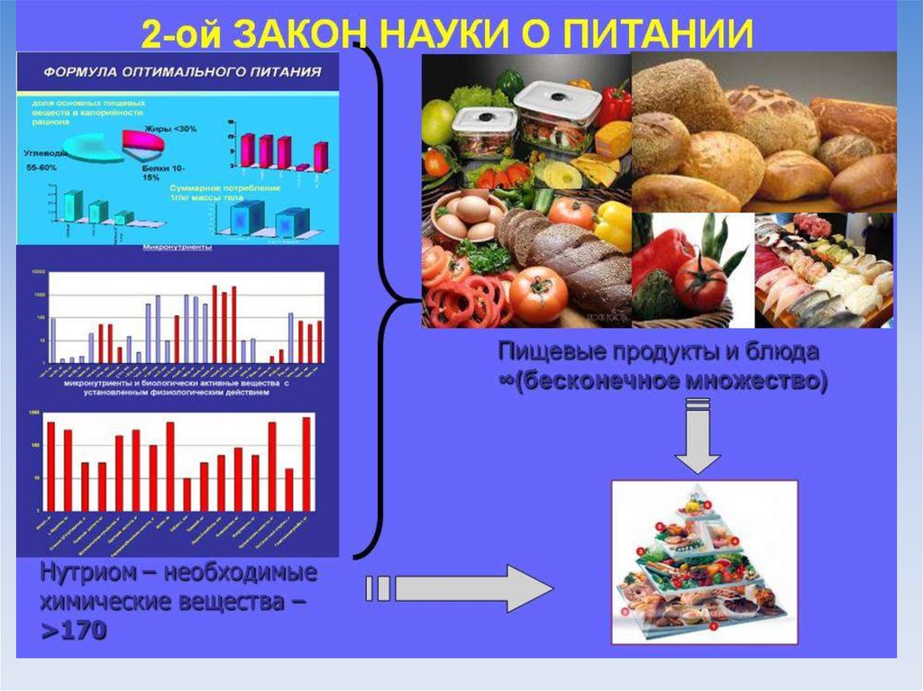 Оптимальное питание. Законы питания. Законы оптимального питания:. Два закона рационального питания. Наука о здоровом питании.