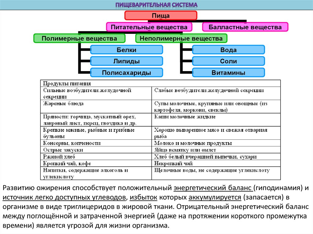 Органы руководства торговлей их функции