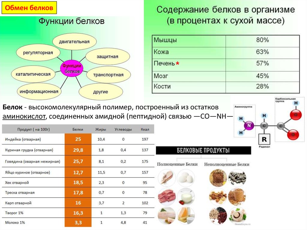 Нарушения работы пищеварительной системы и их профилактика 8 класс презентация