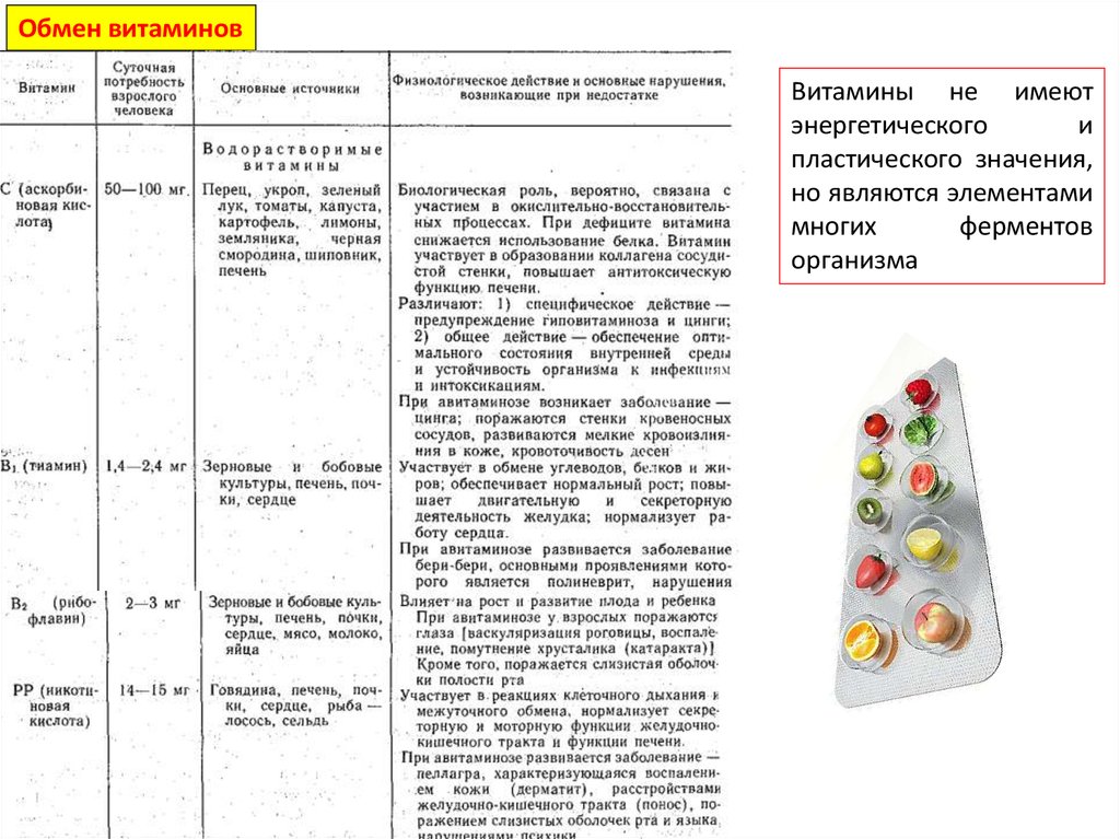 Обмен витаминов. Роль печени в обмене витаминов. Функции печени в обмене витаминов. Роль витаминов в обмене белков.