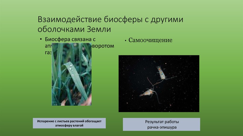 Рисунок схемы связь биосферы с другими оболочками земли