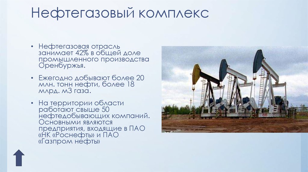 План описания отрасли хозяйства нефтяной отрасли