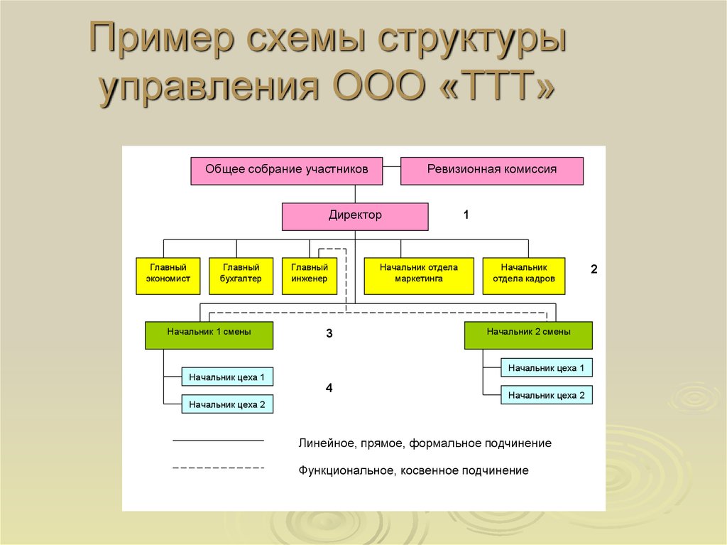 Пример схемы структуры управления ООО «ТТТ»