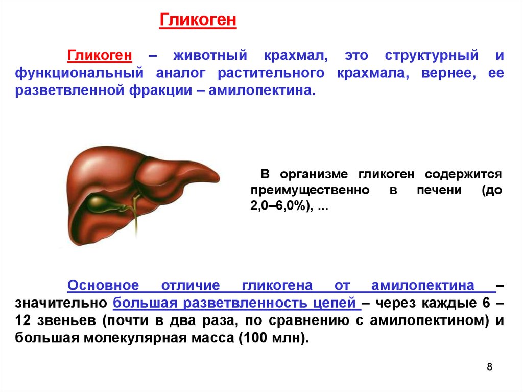 У каких животных печень. Гликоген. Гликоген это в биологии. Недостаток гликогена в печени. В печени запасается гликоген.