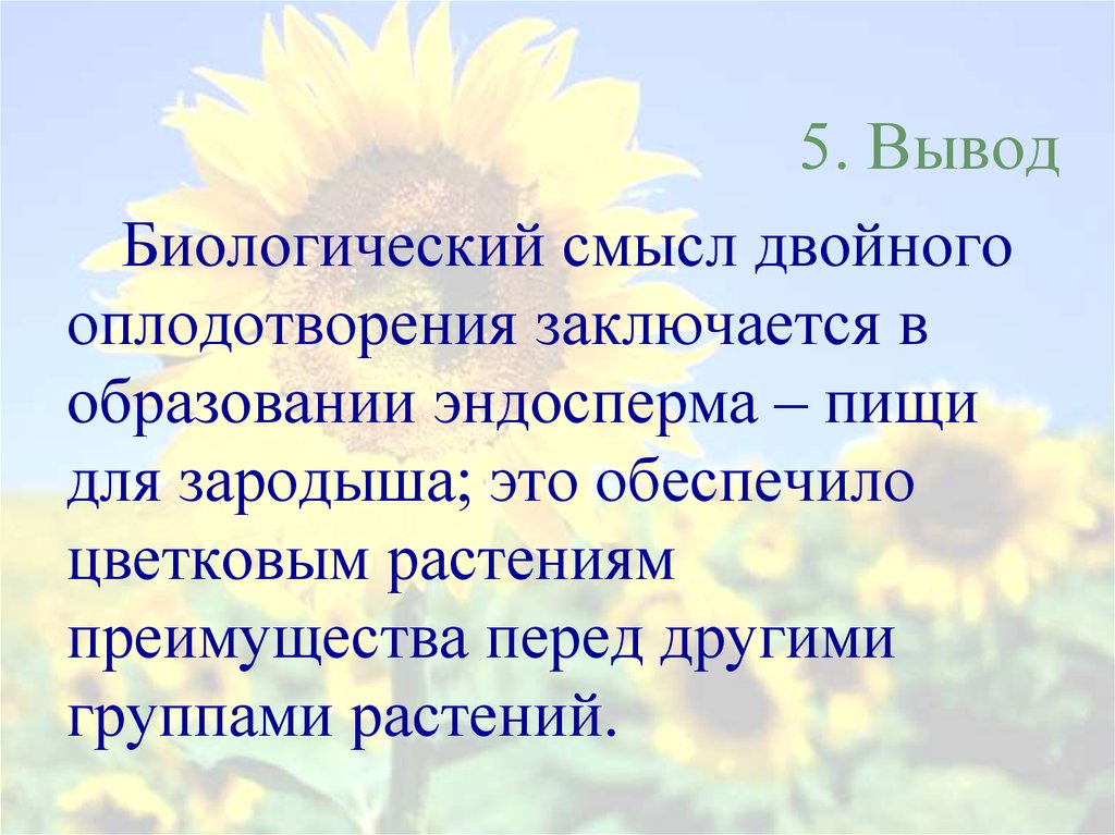 В чем заключается биологический смысл. Значение двойного оплодотворения. Смысл двойного оплодотворения у цветковых растений. Биологическое значение двойного оплодотворения у цветковых растений. Биологическое значение двойного оплодотворения у растений.