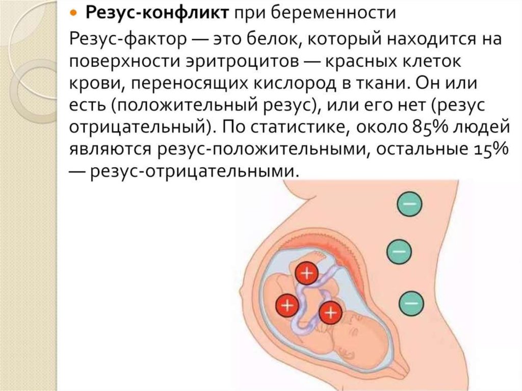 Несовместимость крови матери и плода презентация