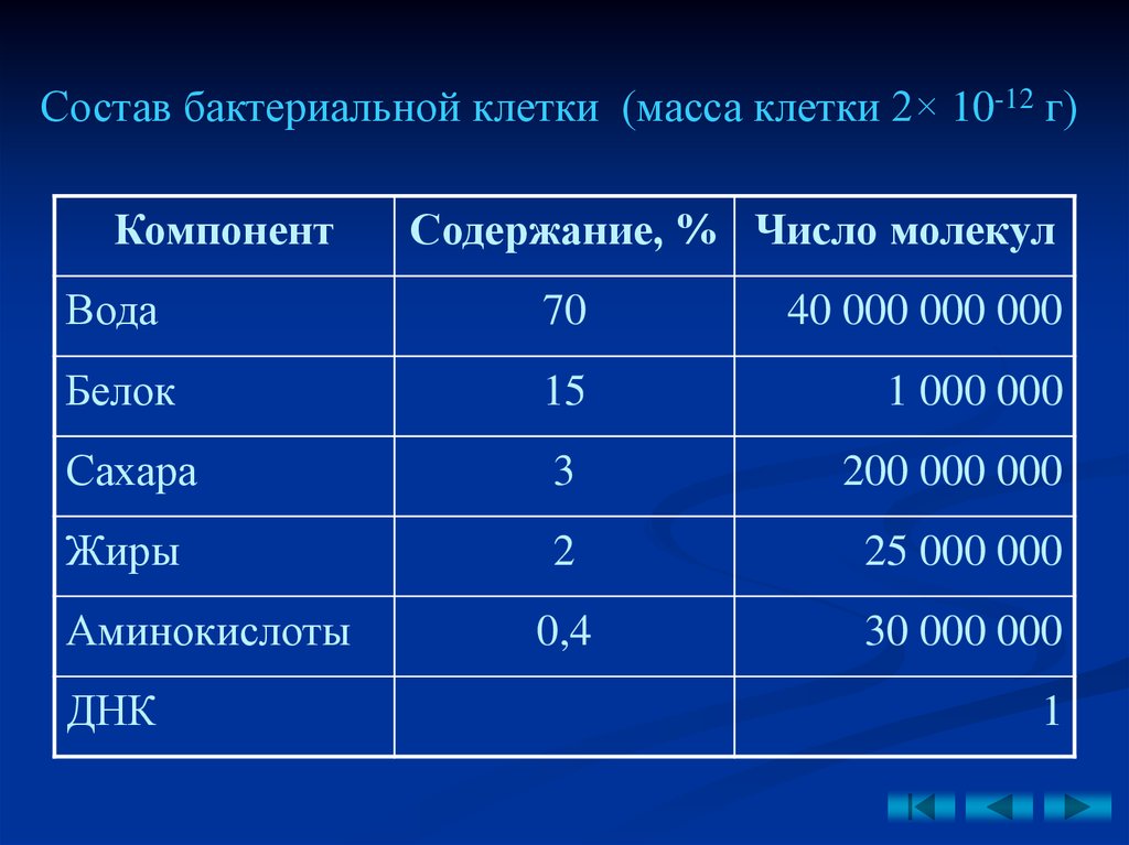 Основную массу клетки составляет. Масса клетки. Вес клетки. Масса бактериальной клетки.