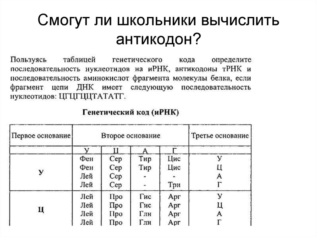 Антикодоны ирнк трнк днк. Последовательность нуклеотидов. Таблица генетического кода антикодоны. Антикодоны аминокислот. Как вычислить последовательность нуклеотидов.