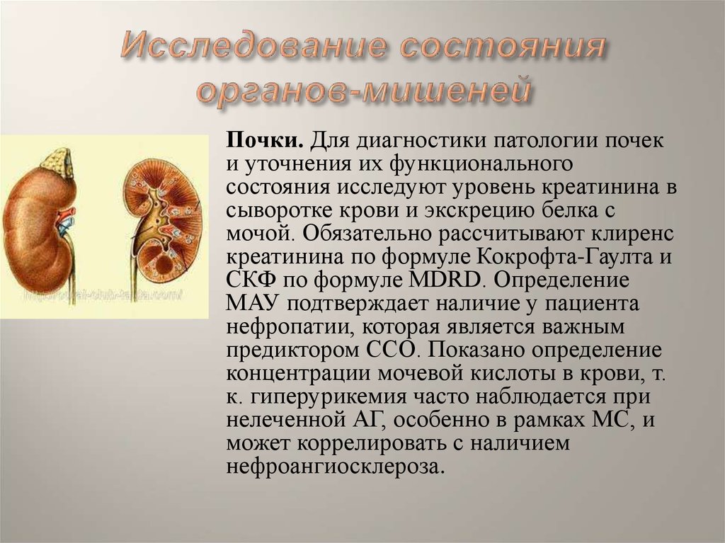 Исследовать состояние. Почки и почечная патология. При патологии почек характерно повышение. Патологии почек презентация.