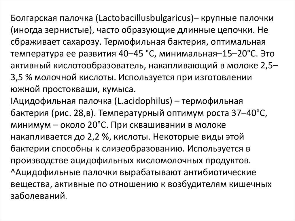 Болгарская палочка. Болгарская палочка характеристика. Болгарская и ацидофильная палочка. Болгарская палочка сообщение.