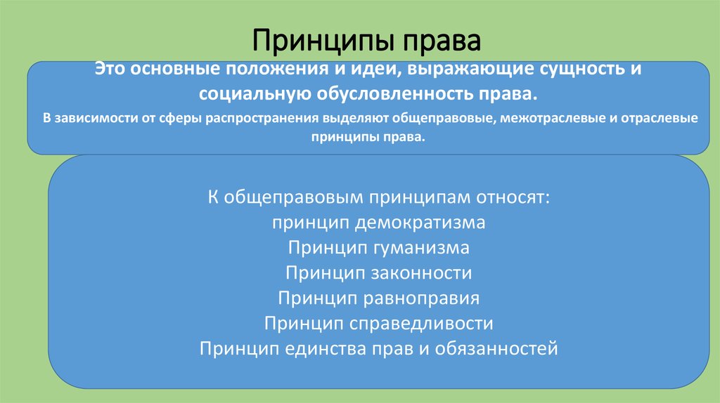 Социально правовые принципы. Принципы права. Принципы права права. Принципы права примеры. Основные Общие принципы права.