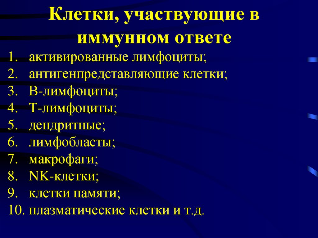 В иммунном ответе участвуют клетки