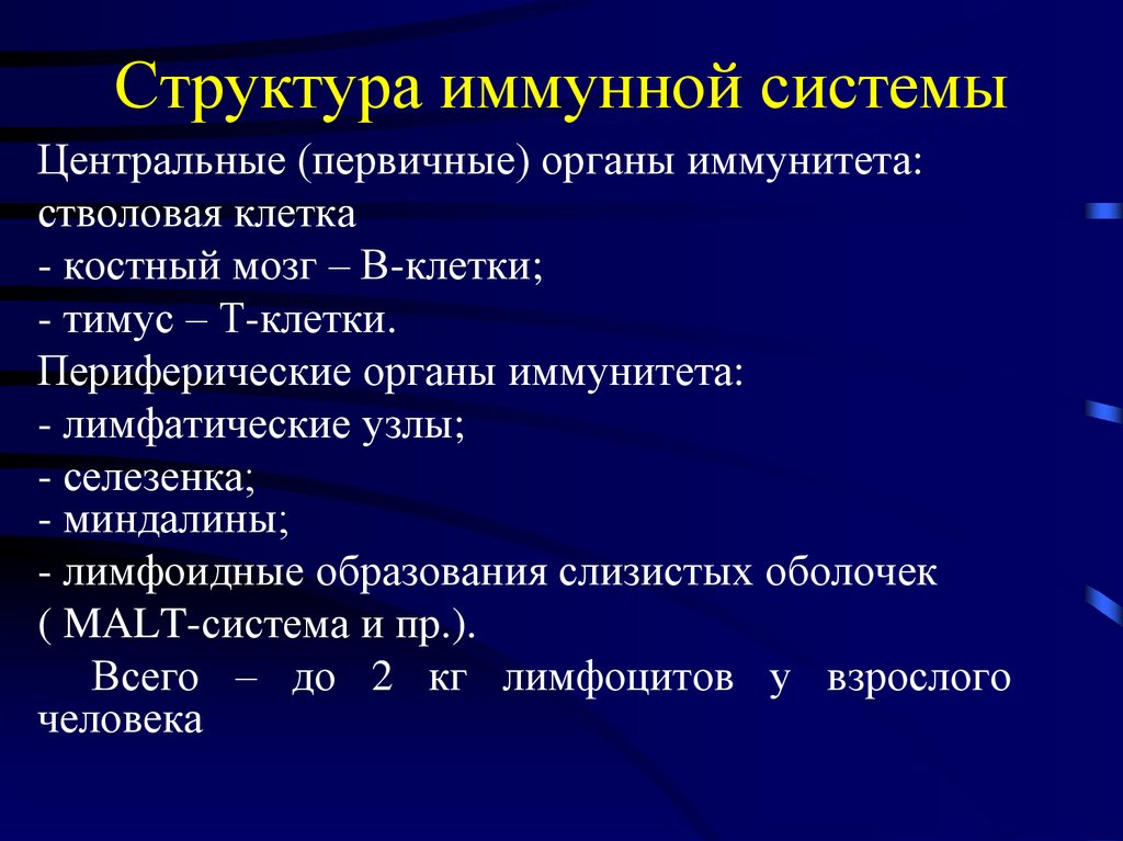 Функции иммунной системы. Структура иммунной системы. Строение и функции иммунной системы. Функции центральных органов иммунной системы. Особенности строения иммунной системы.