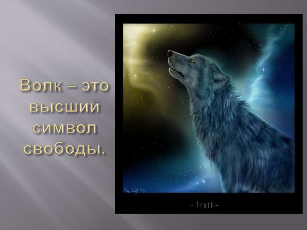 Волк – это высший символ свободы.