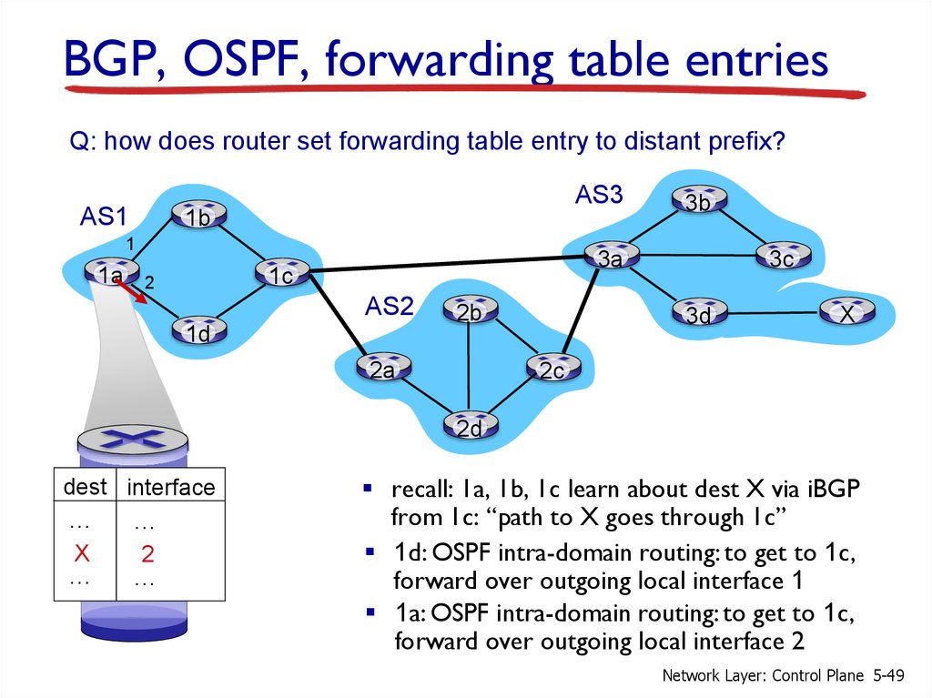 BGP, OSPF, forwarding table entries