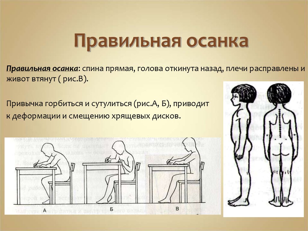 Правильная осанка рисунок