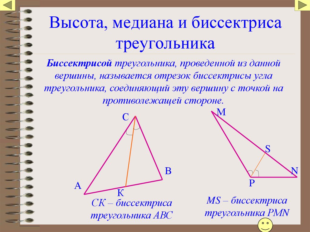 Высота, медиана и биссектриса треугольника