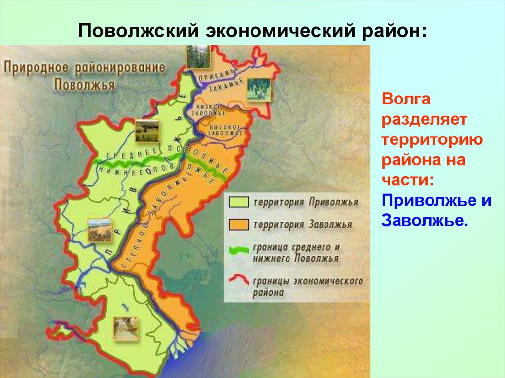 Отразите на схеме изменения сельскохозяйственной специализации поволжья при движении с севера на юг