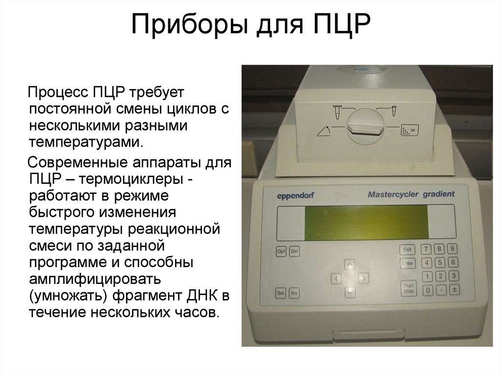 Проведение пцр анализа