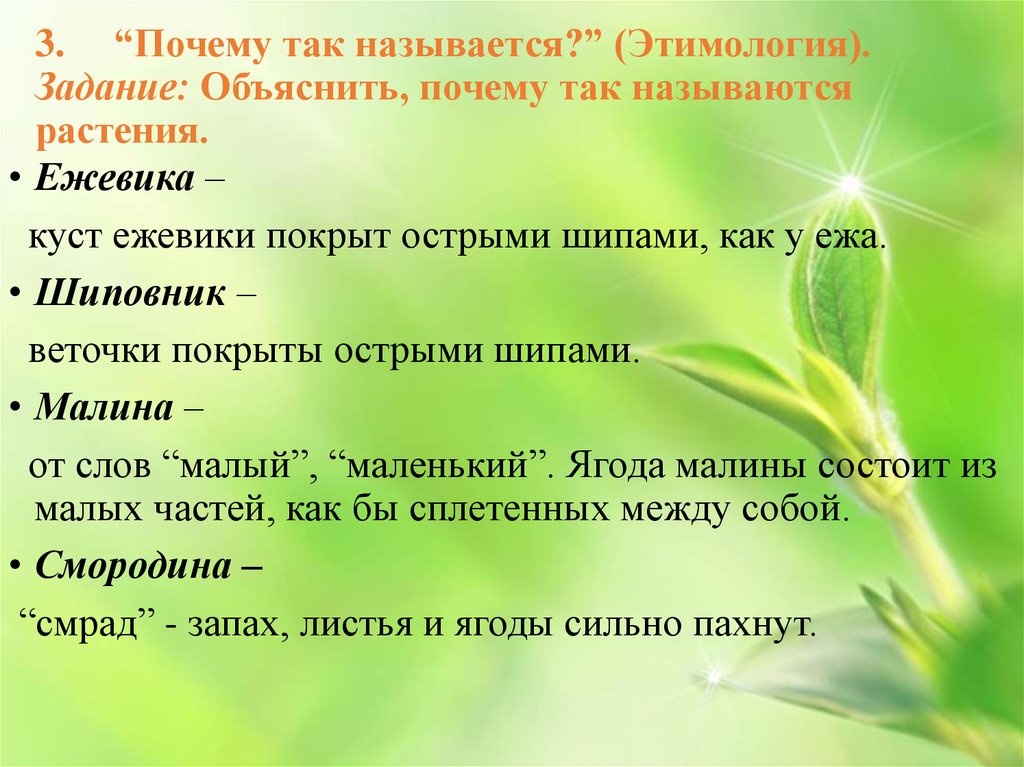 Родной русский задания. Проект почему это так называется 2 класс. Проект почему это так называется 2 класс родной язык. Проект по родному языку почему это так называется. Проектное задание почему это так называется.